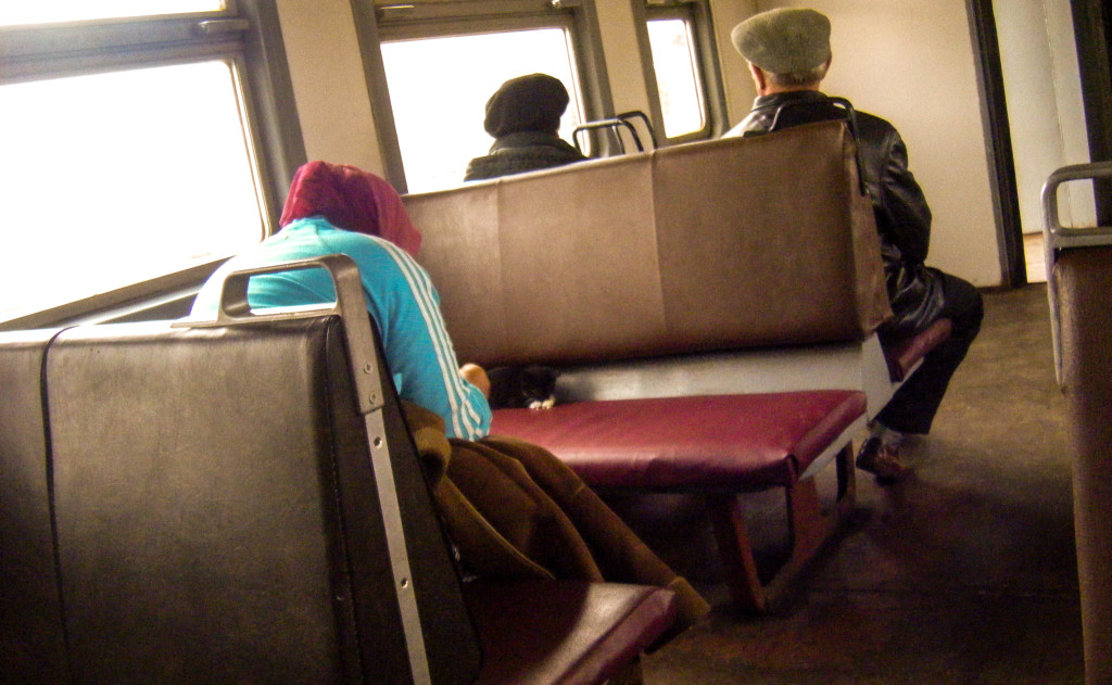 An old woman feeding a cat on the train back to Moscow