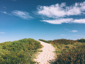 angourie-beach-track