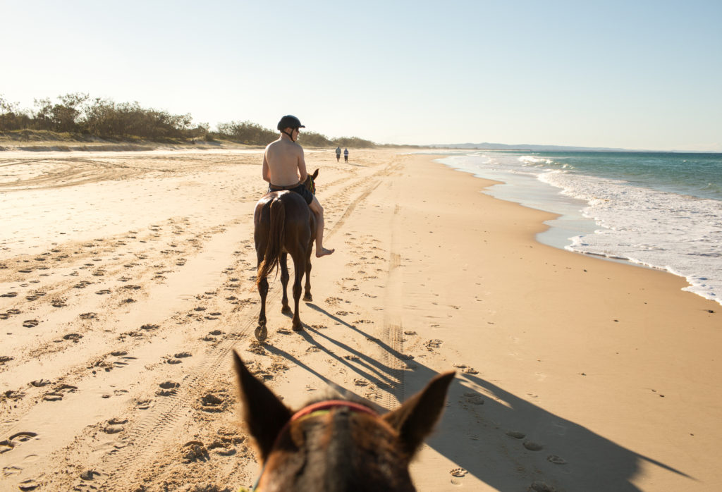 horse riding on rainbow beach