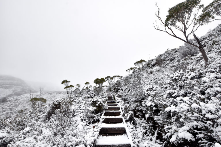 Cradle Mountain Winter Hike A Snowy Adventure Awesome Explorations